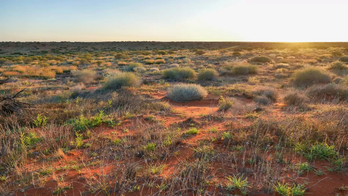 Australian outback road