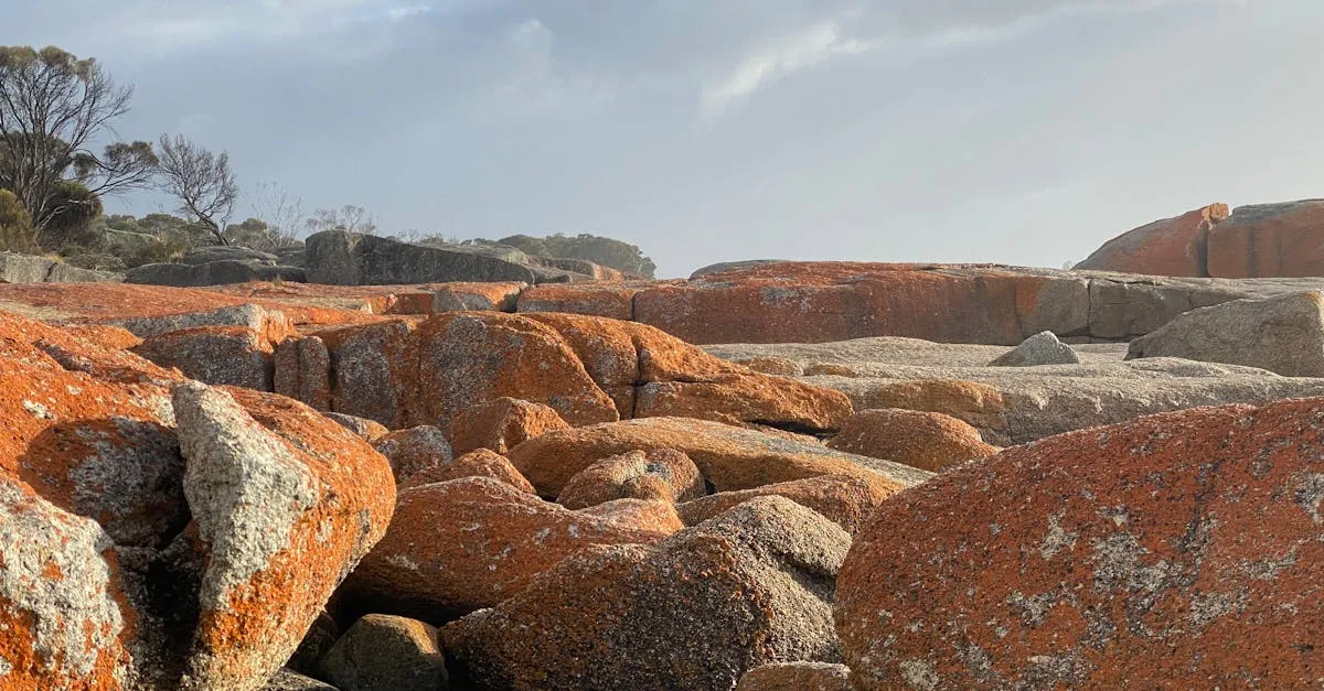 Bay of Fires orange rocks Tasmania