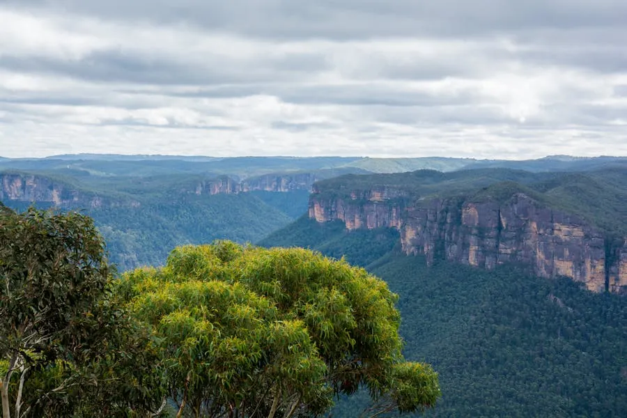 Vast eucalyptus forest valleys in the Blue Mountains west of Sydney