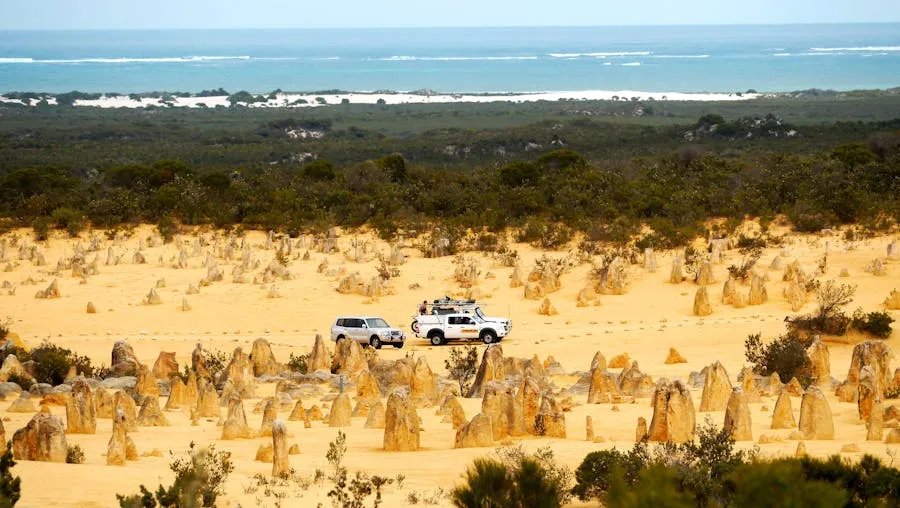 Limestone pillars rising from yellow sand in the Pinnacles Desert