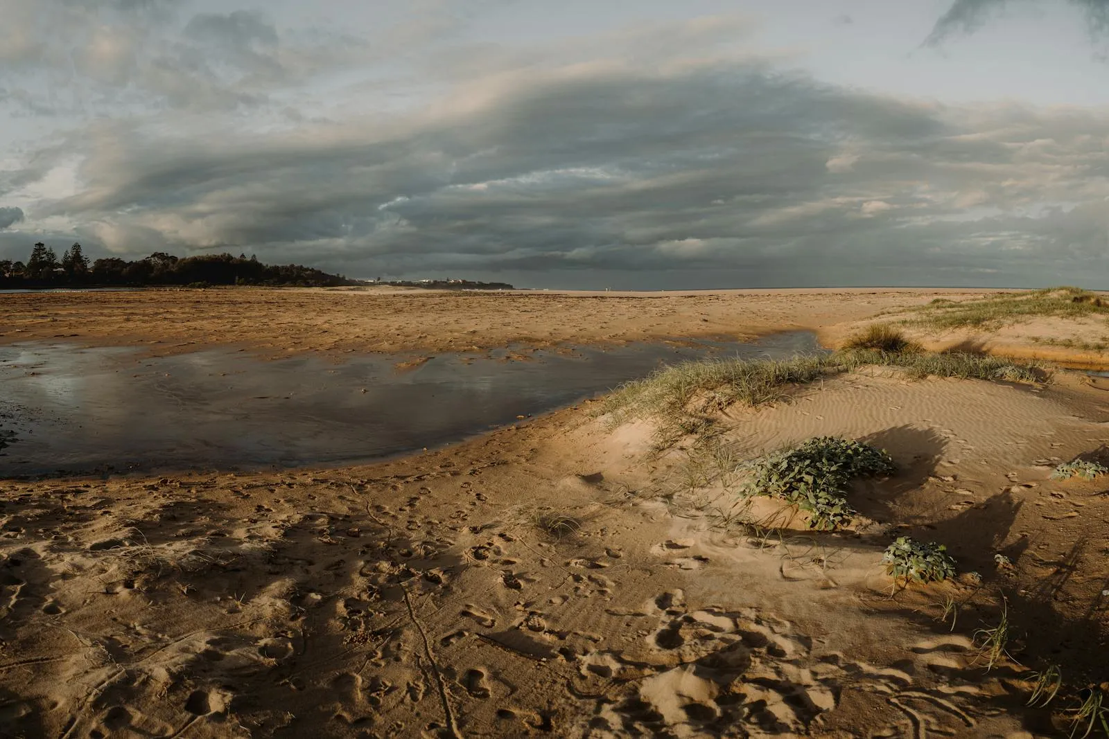 A breathtaking beach scene in Sydney with dramatic clouds, showcasing the beauty of nature.