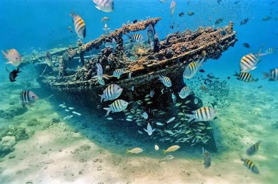 Snorkellers exploring coral reef near a shipwreck