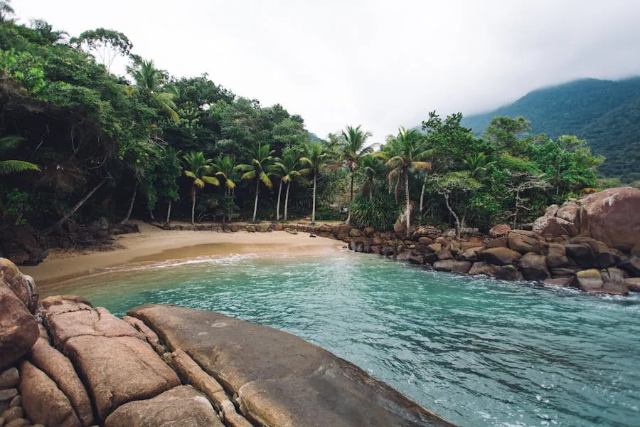 Secluded beach framed by coral cliffs and palm trees