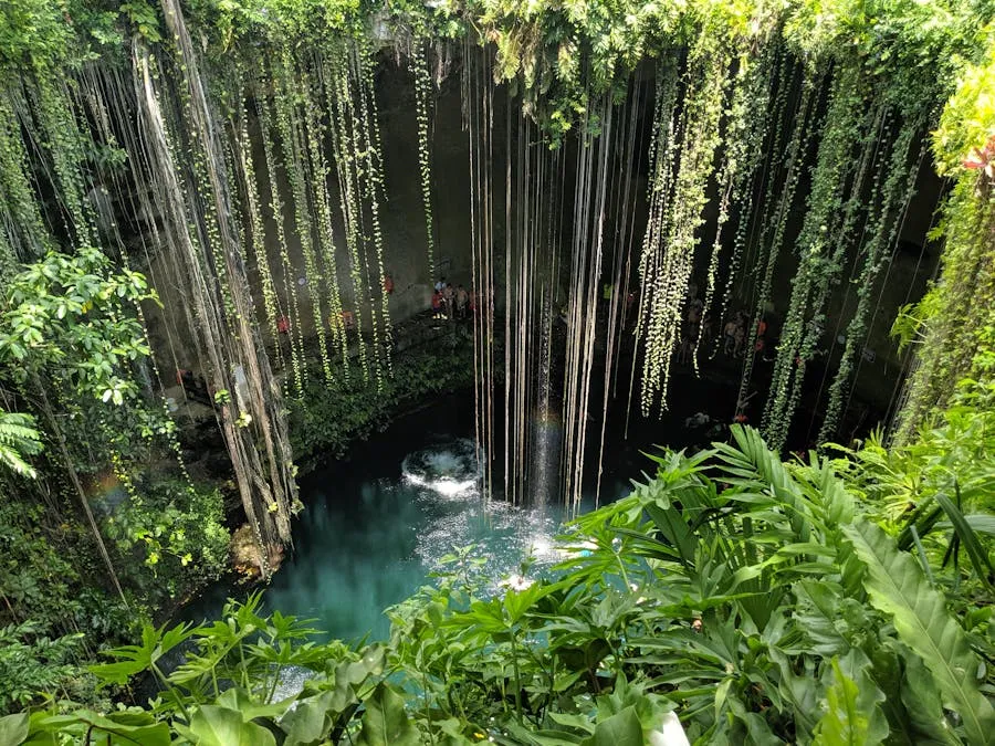 Lush tropical garden inside a natural sinkhole