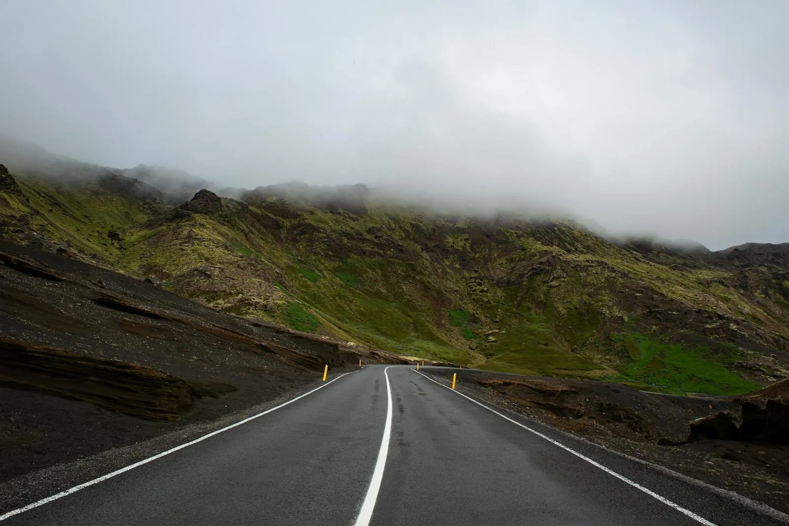 North & Interior landscape