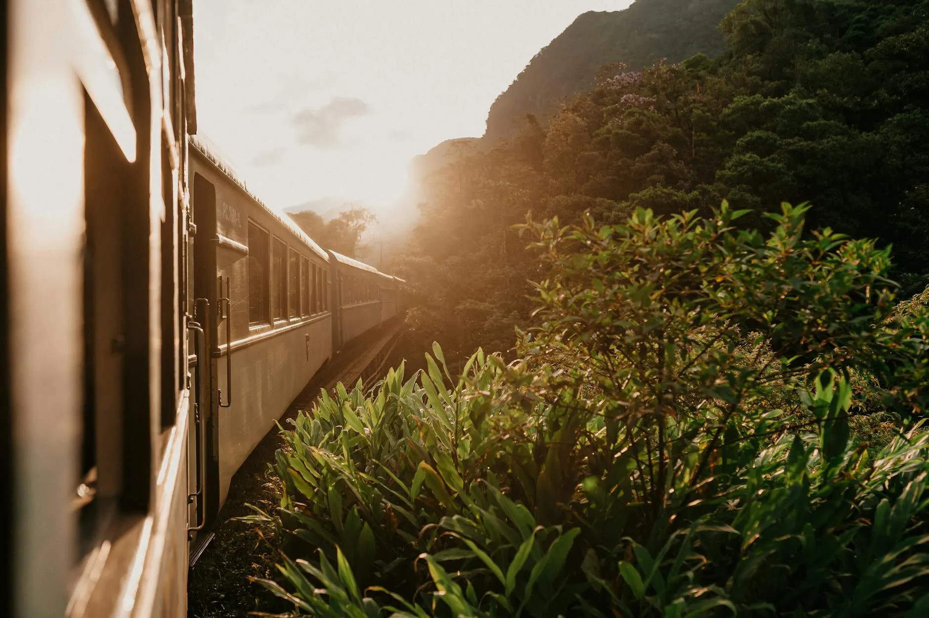 A beautiful train ride through a verdant landscape during sunrise, capturing the essence of travel and adventure.