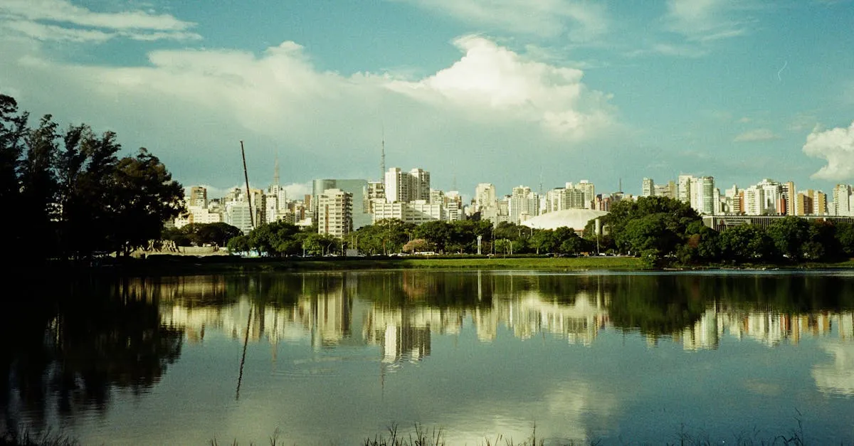 Ibirapuera Park São Paulo