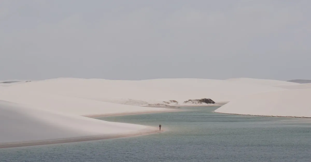 Jalapão sand dunes