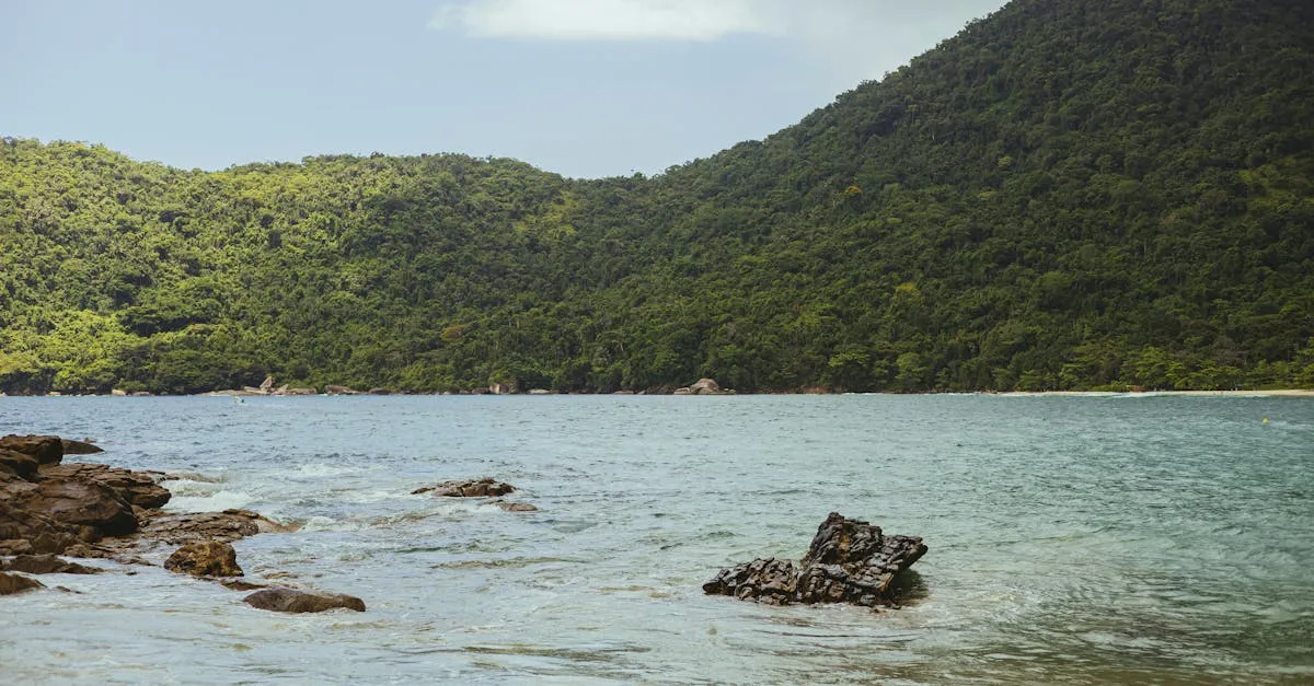 Trindade beach near Paraty