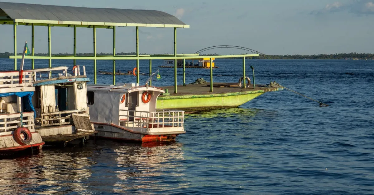 Meeting of the Waters Amazon