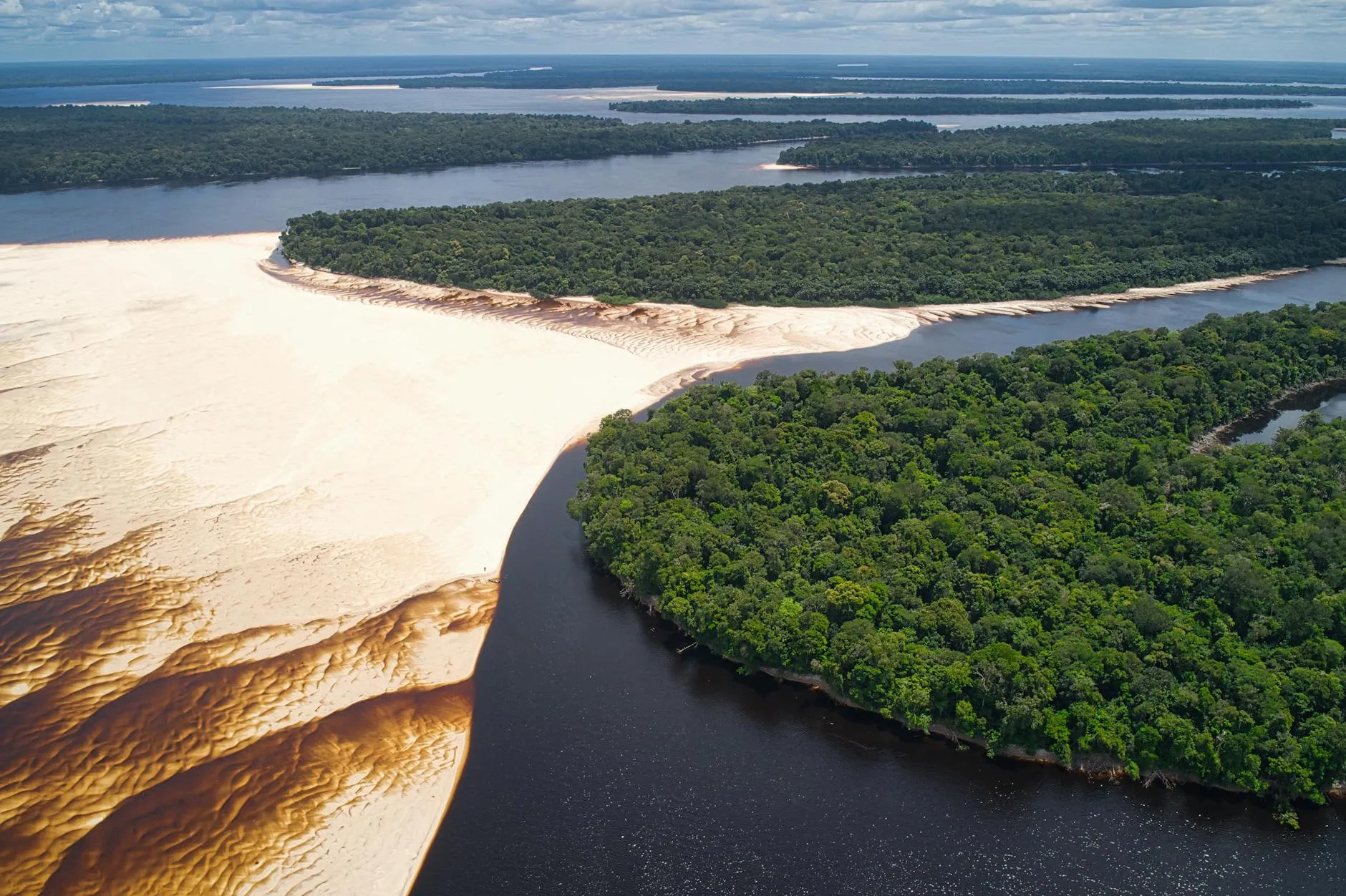 Amazon, Pantanal & Cerrado