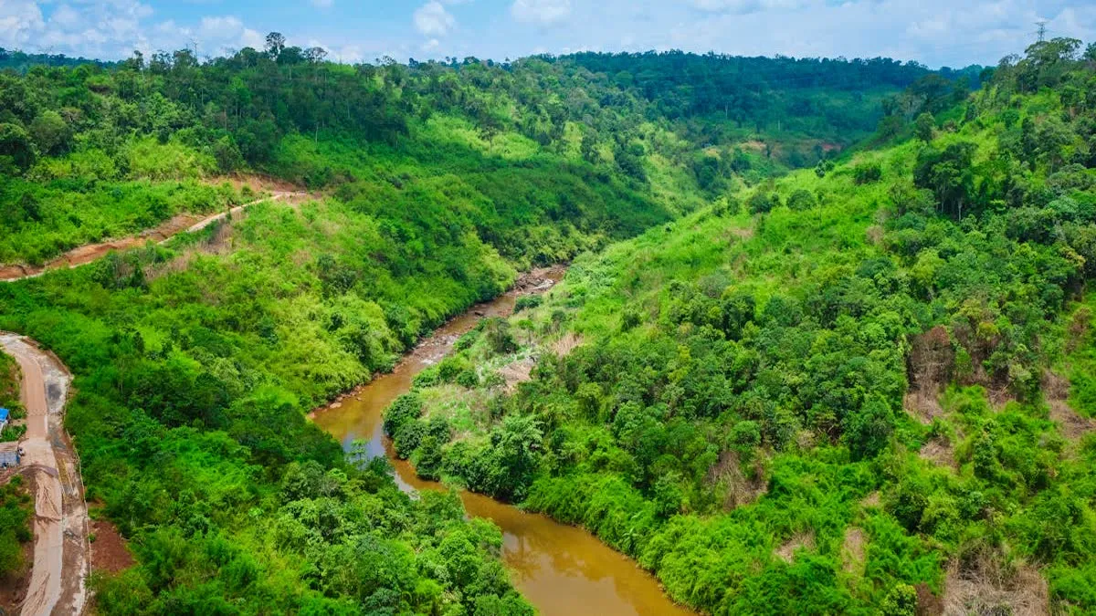 Chi Phat Cardamom Mountains