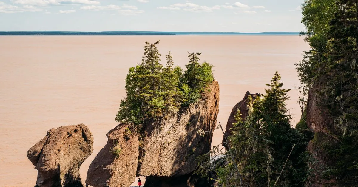 Bay of Fundy Hopewell Rocks