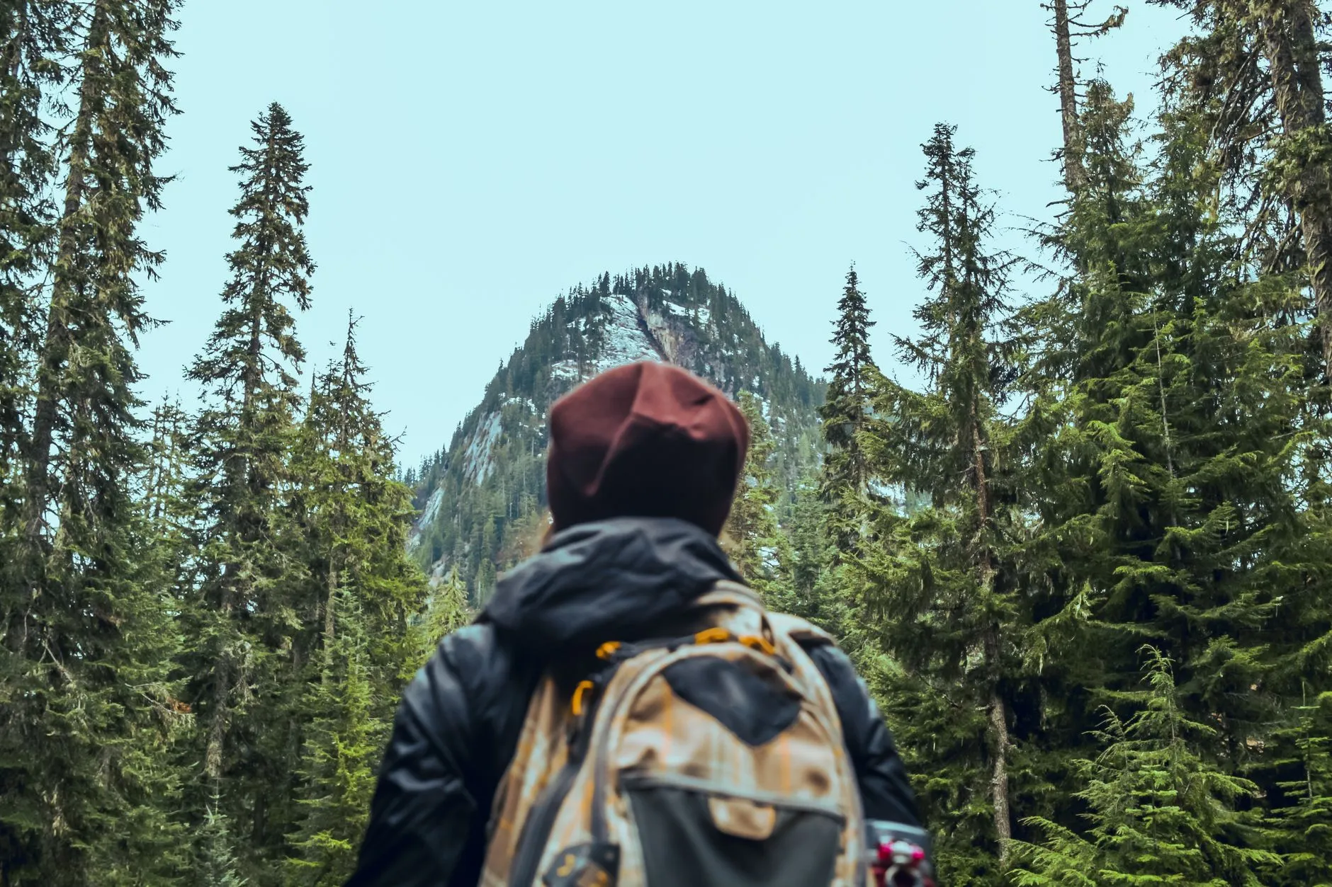 Mountain hiking trail through forest