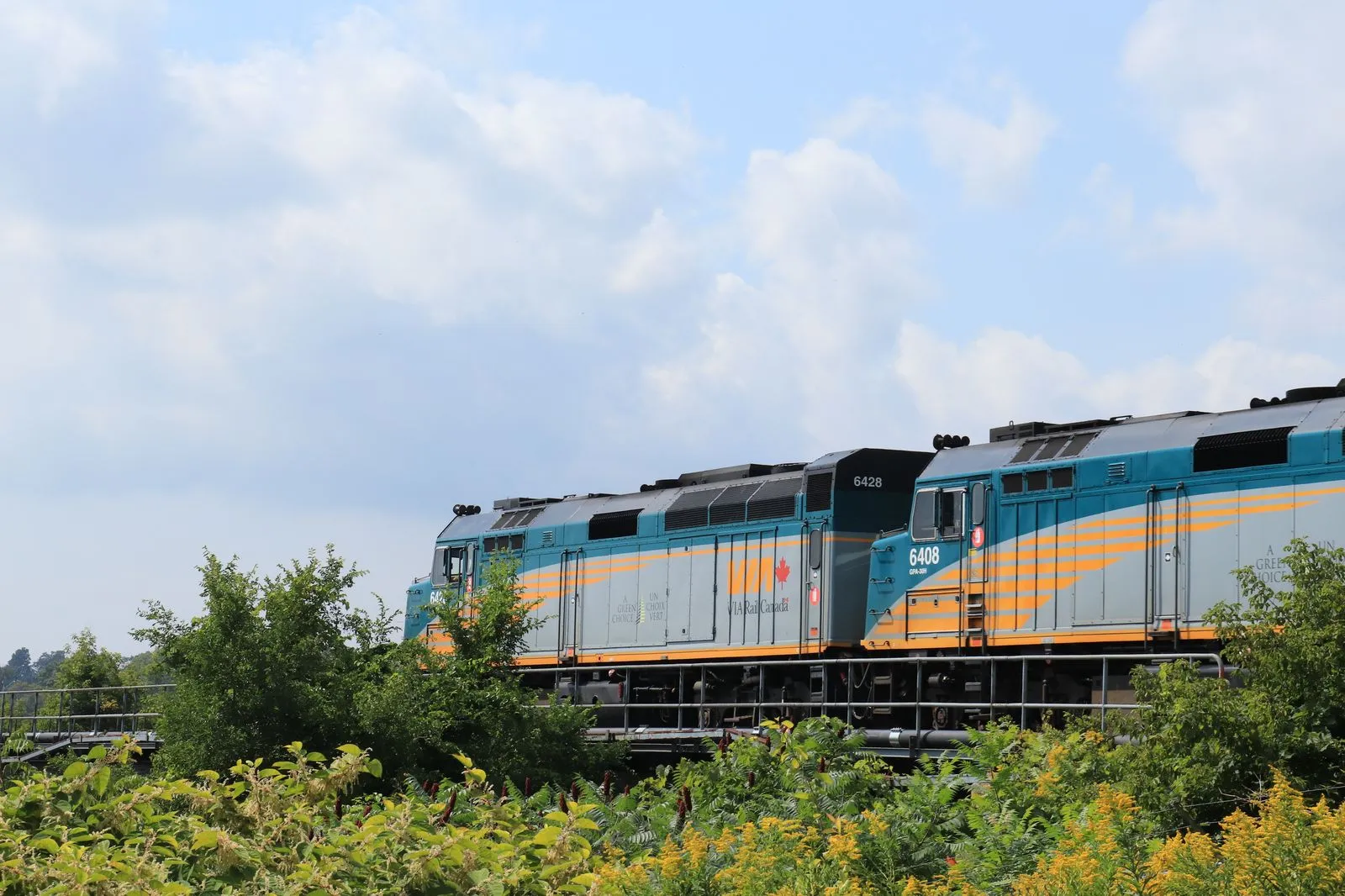 Scenic train journey through Canadian mountains