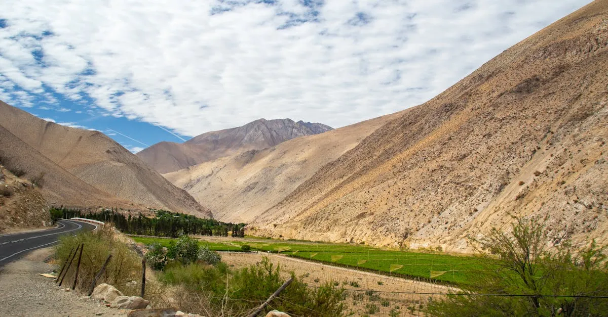 Pisco Elqui valley