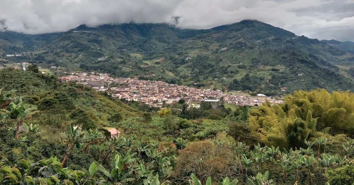 Jardín colorful town