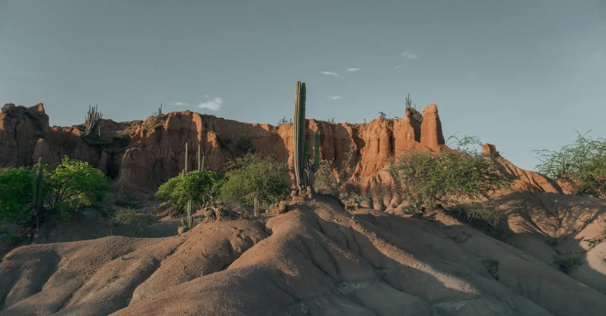 Tatacoa Desert landscape
