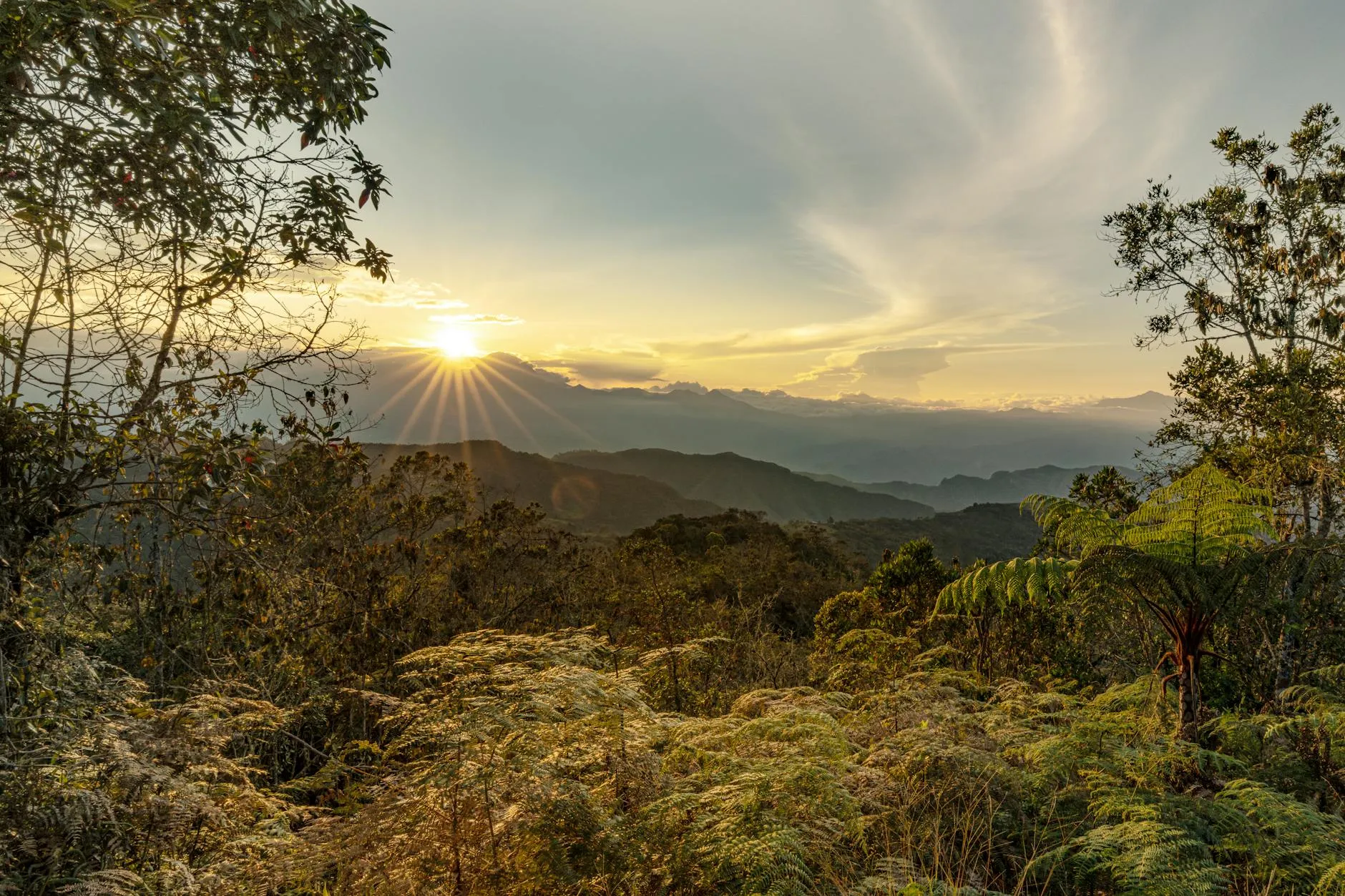 Scenic view of the Andes Mountains during sunset with lush greenery and golden light in Colombia.