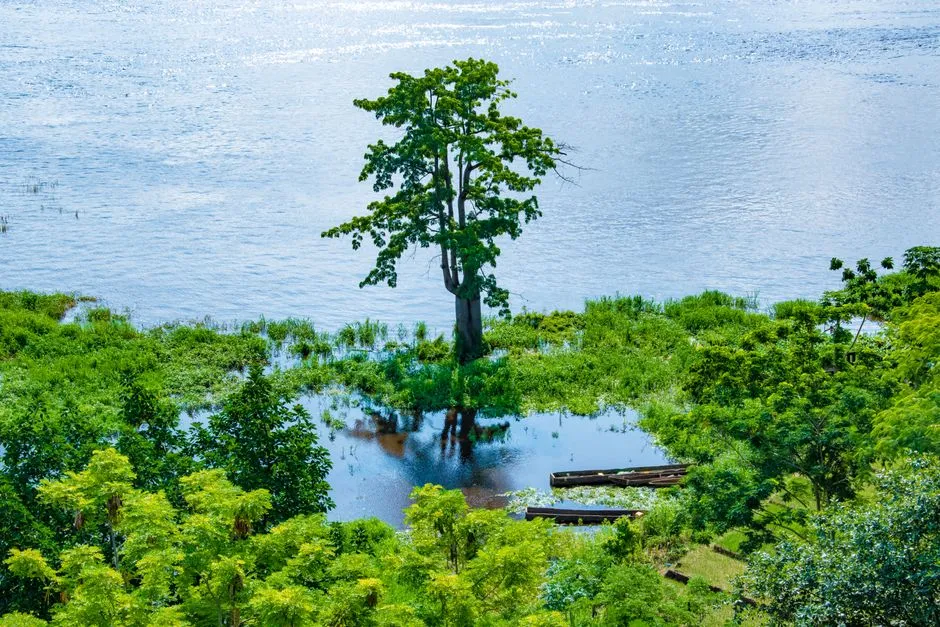 Congo River winding through dense tropical rainforest