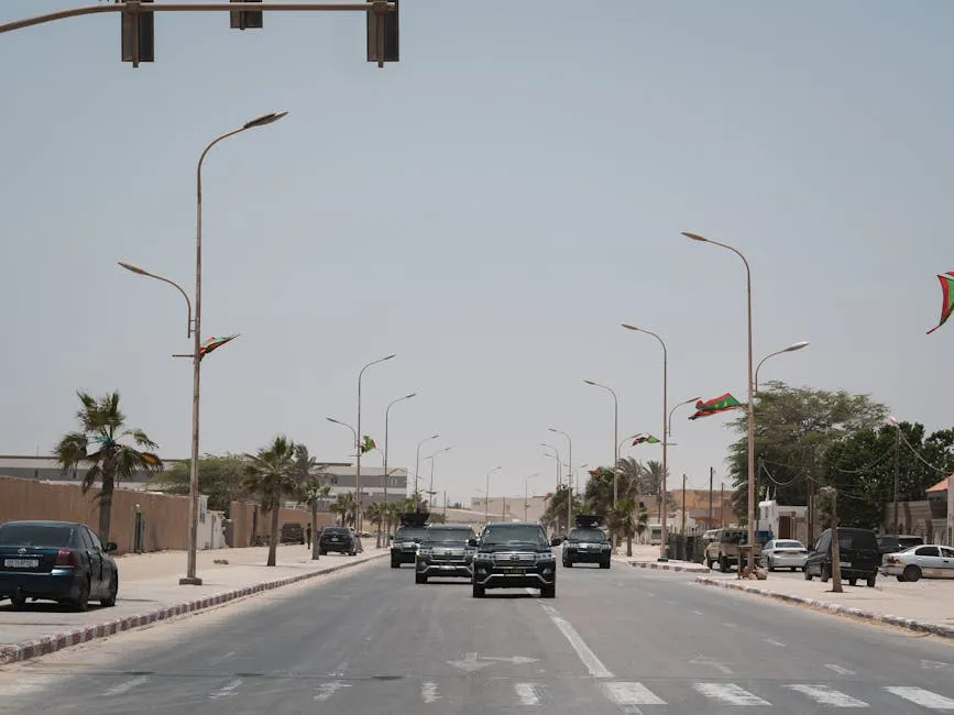 Brazzaville street scene with traffic and palm trees