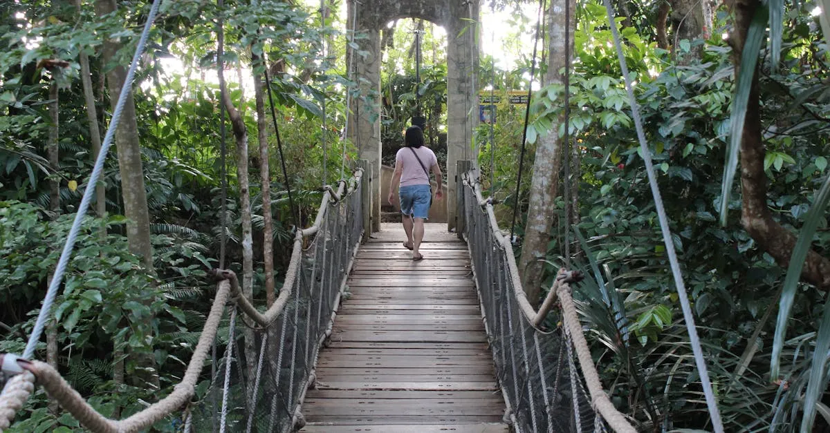 Guanayara jungle trail