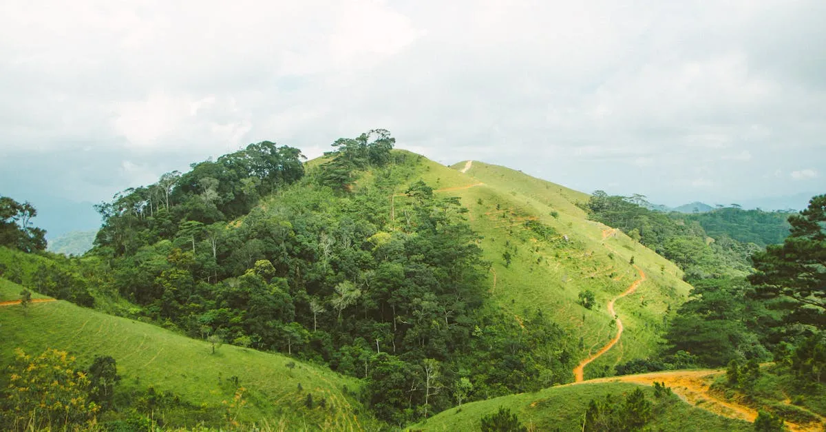 El Yunque mountain trail
