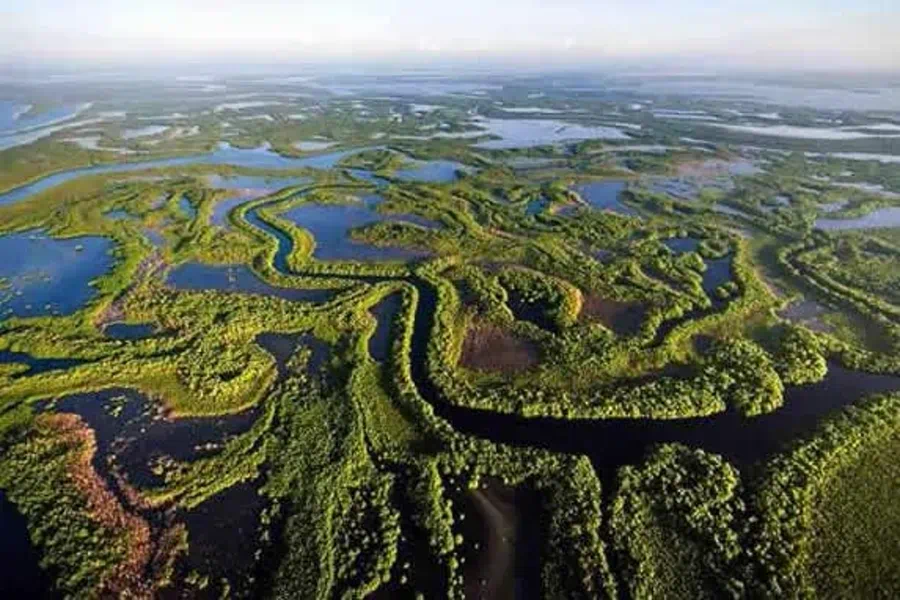 Zapata Peninsula wetland