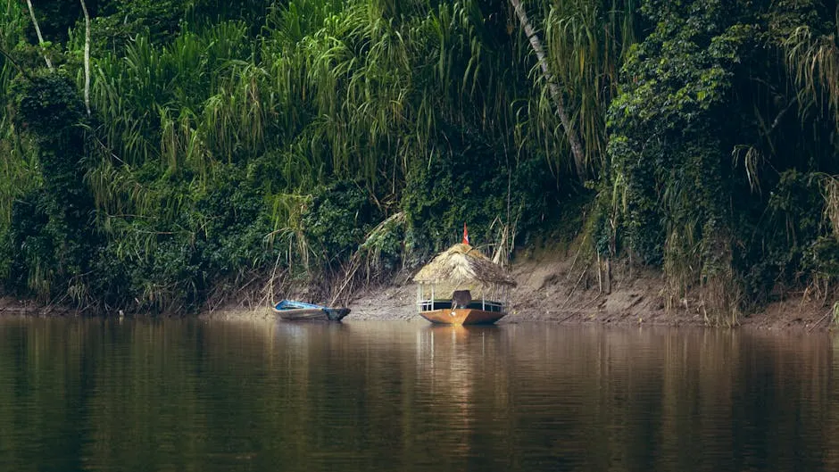 Congo River with dense forest on both banks
