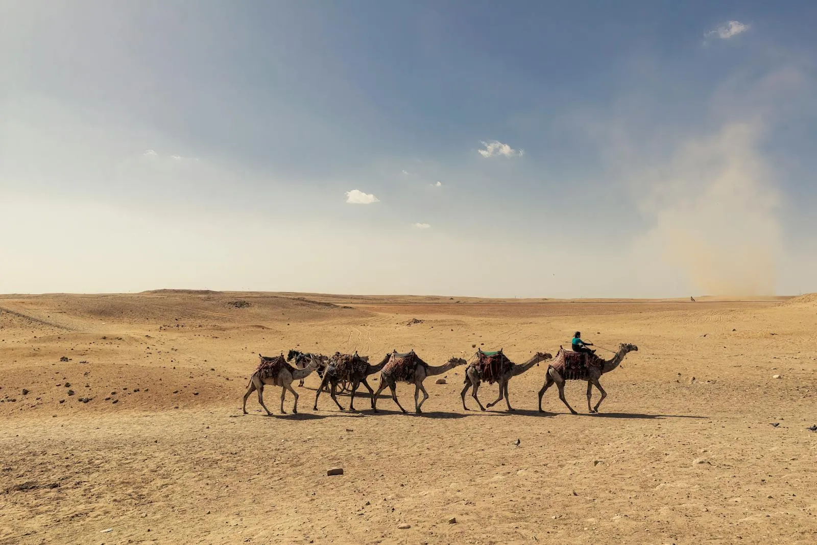 Camel caravan crossing the Egyptian desert