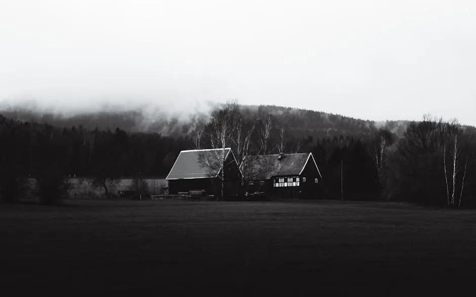 Black Forest landscape with farmhouse and rolling hills