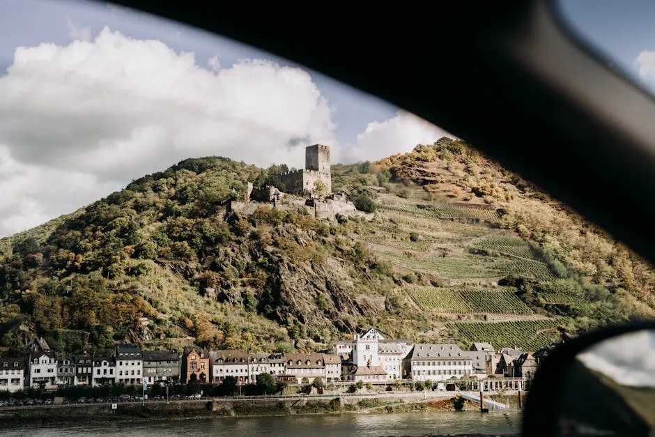 Rhine Valley with castles and vineyards