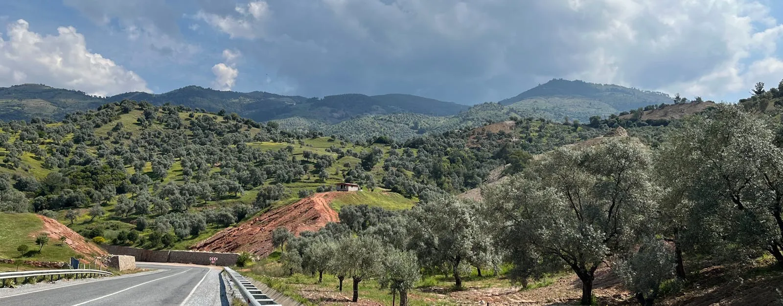 Scenic Greek mainland road winding through mountains and olive groves