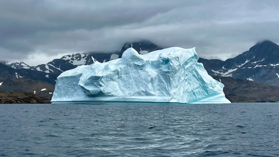 Massive icebergs floating in a Greenland fjord