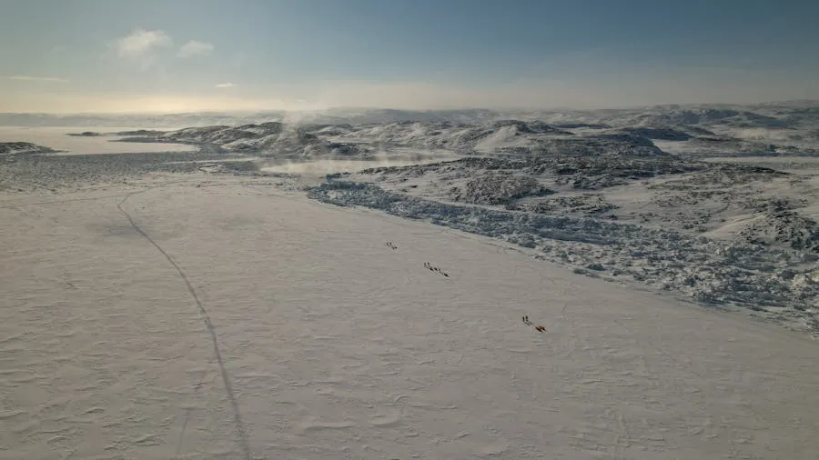 Hiker on the Arctic tundra of the Arctic Circle Trail