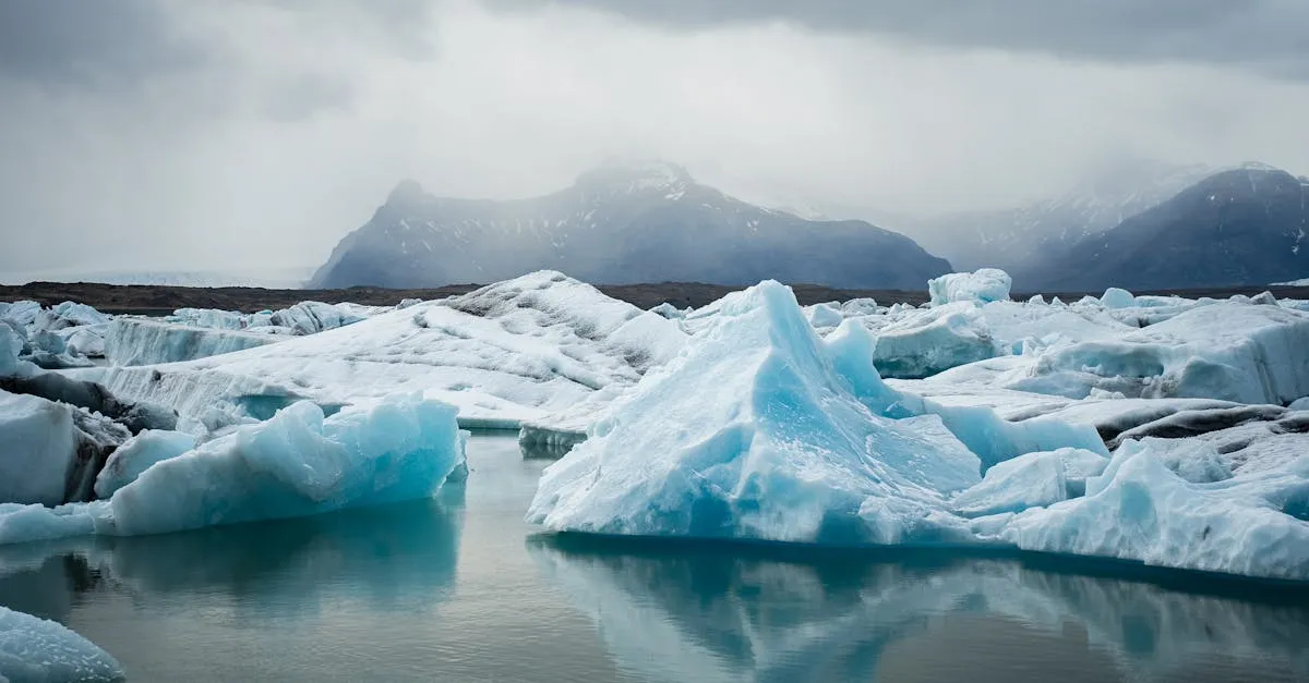 Icebergs of vivid blue floating in the calm waters of Jökulsárlón glacier lagoon