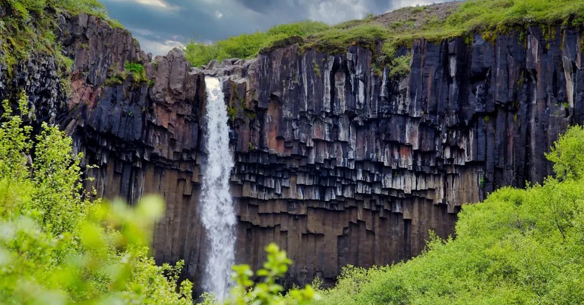 Svartifoss waterfall framed by dark hexagonal basalt columns in Skaftafell