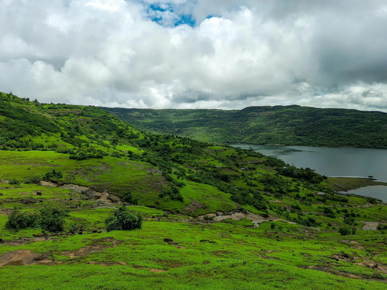 Lush green Indian landscape during monsoon season