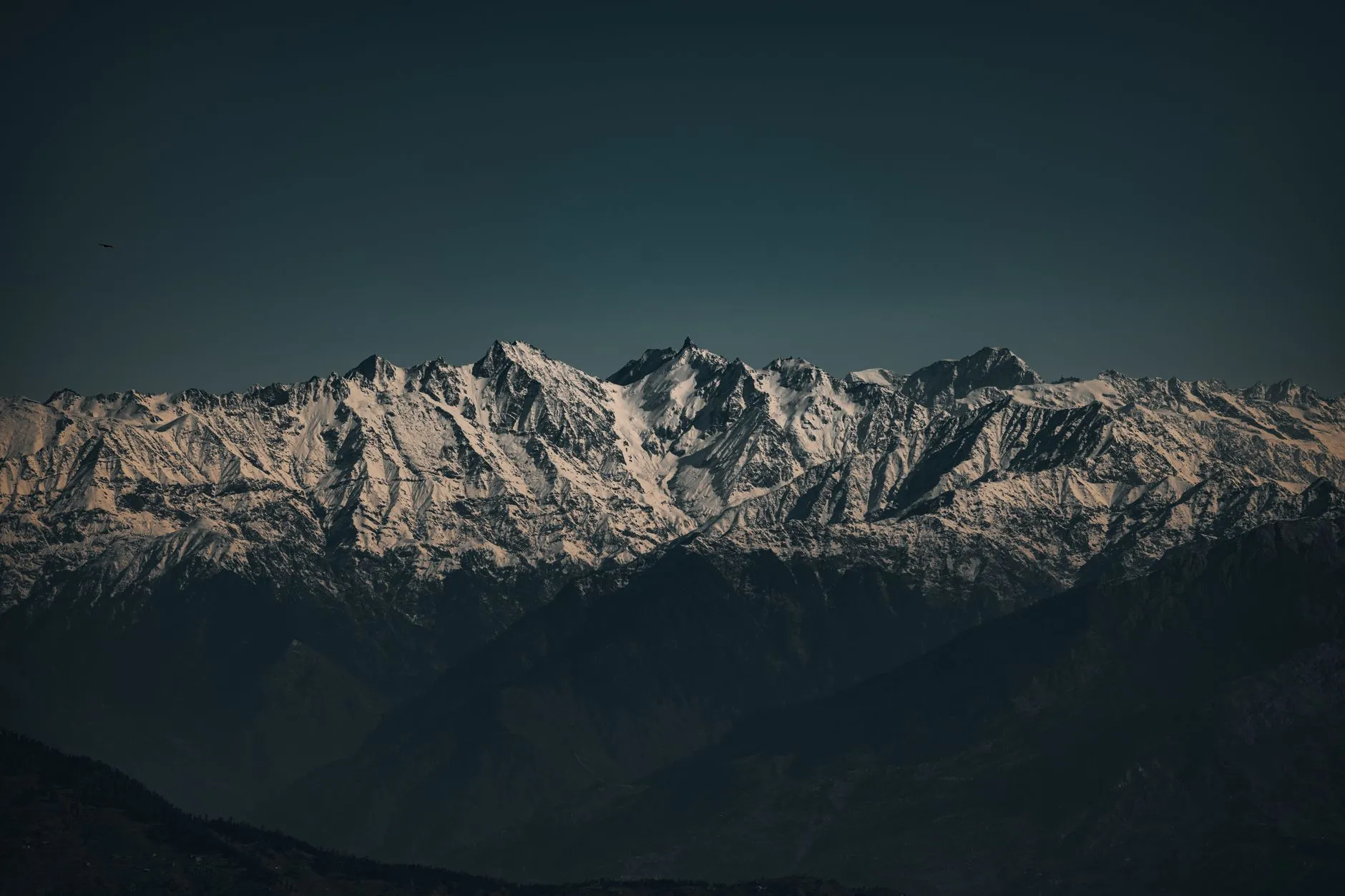 Snow-capped Himalayan peaks above the treeline