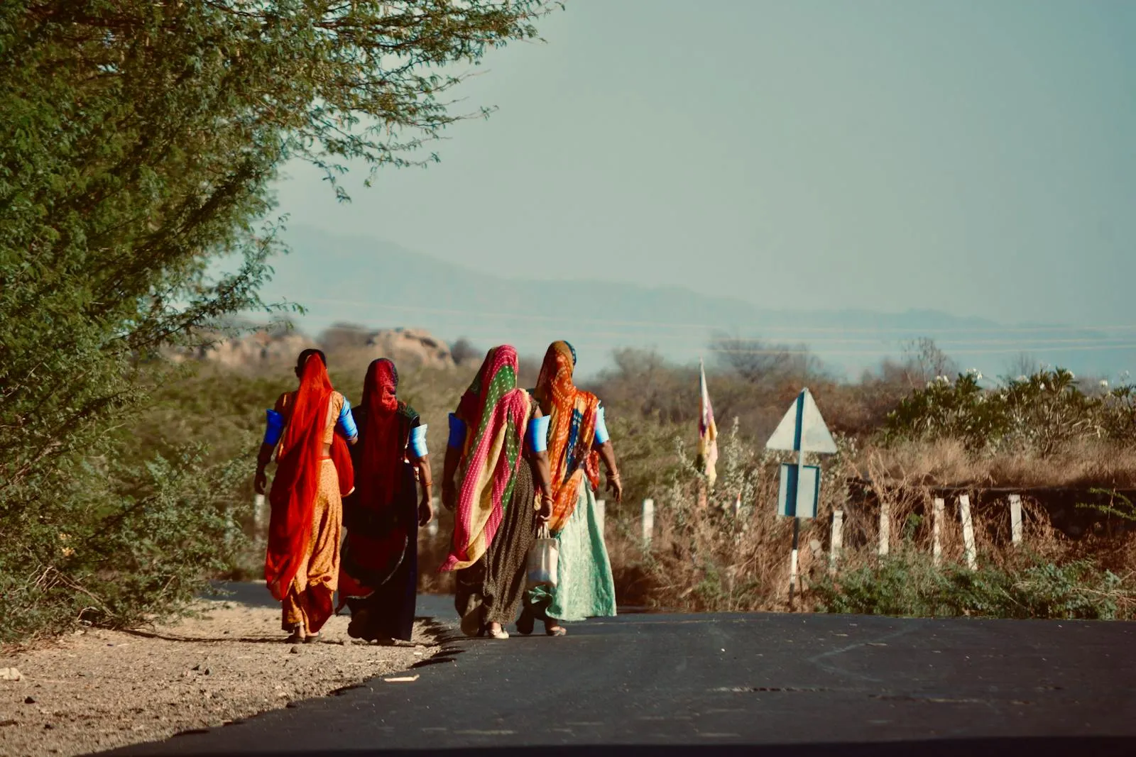Diverse Indian landscape showing the variety of terrain