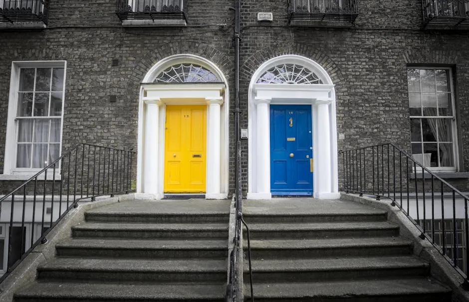 Georgian doorways on a tree-lined Dublin street