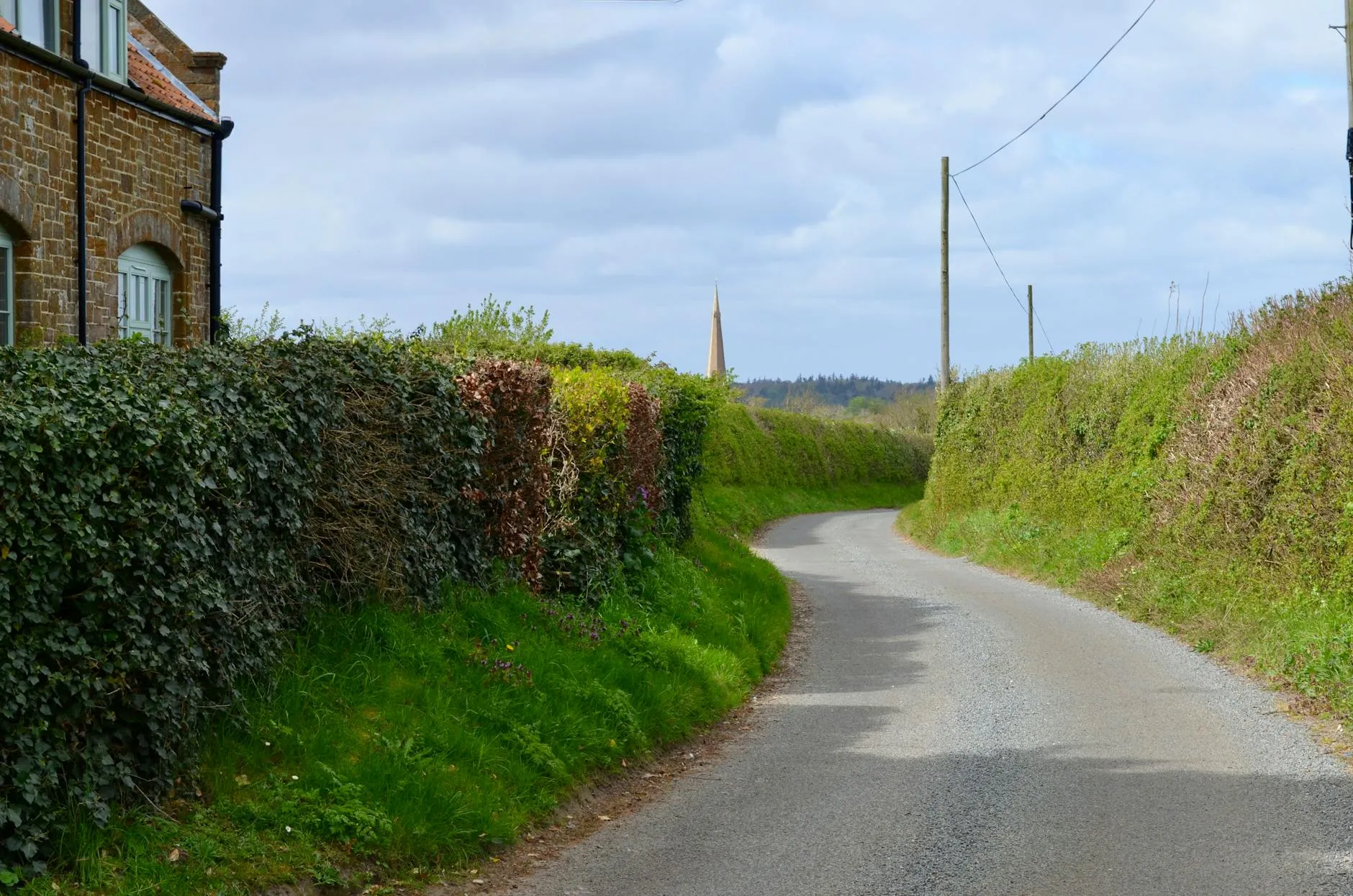 Narrow winding country road through green hedgerows in rural Ireland
