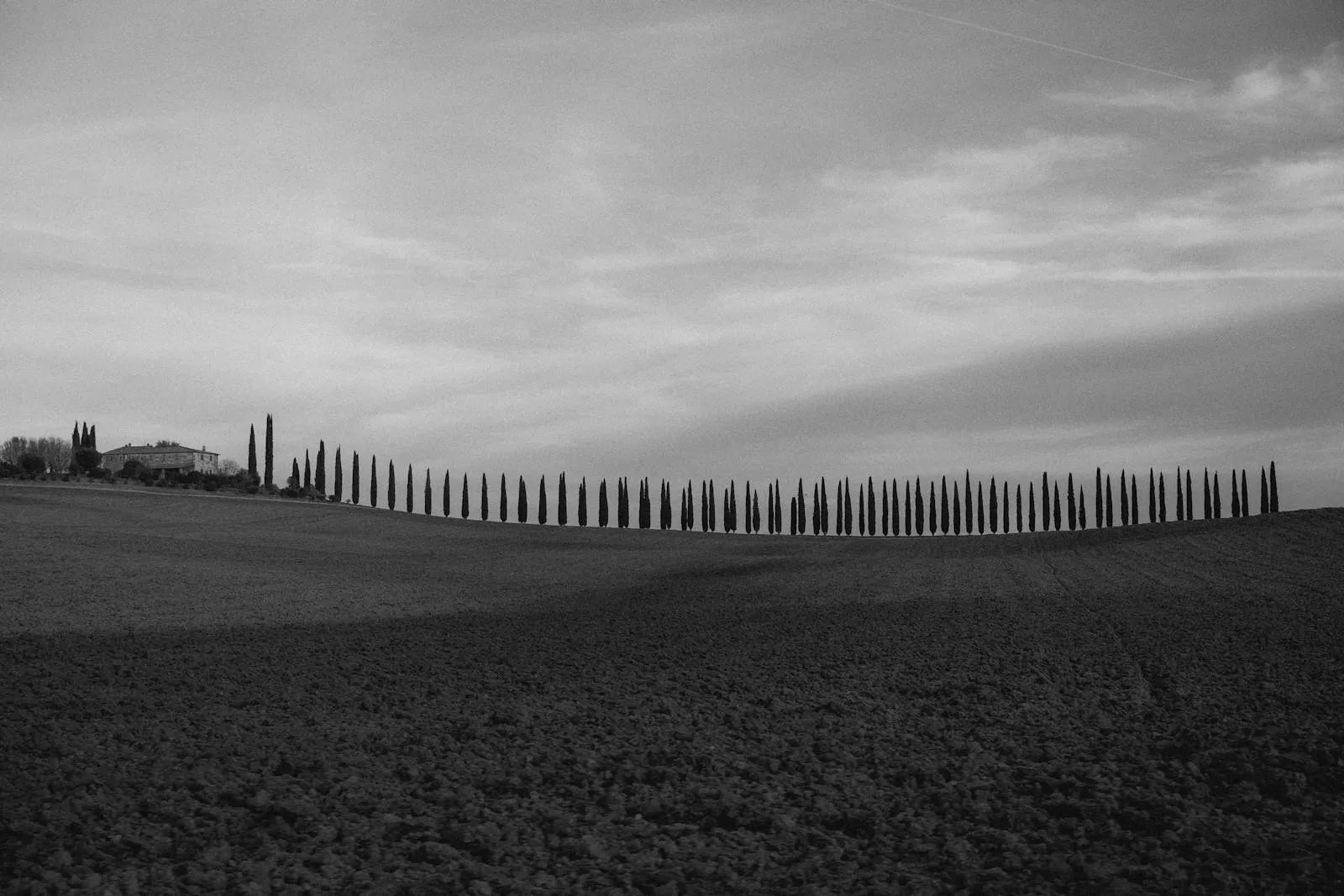 Tuscan hillside with cypress trees bathed in warm autumn light