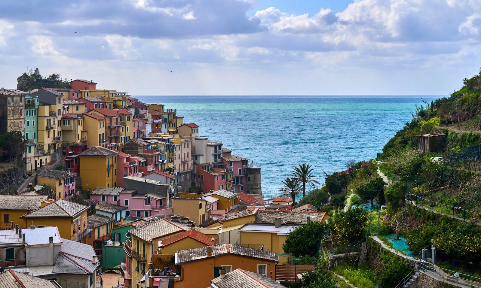 Cinque Terre village of Manarola with colourful houses perched on coastal cliffs