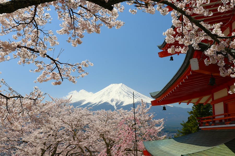 Mount Fuji with cherry blossoms and pagoda — Japan's iconic landscape