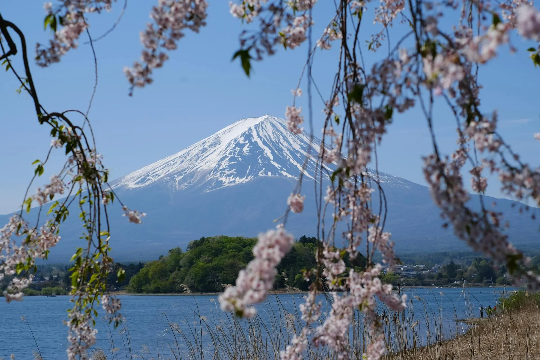 Panoramic aerial view across the diverse Japanese landscape
