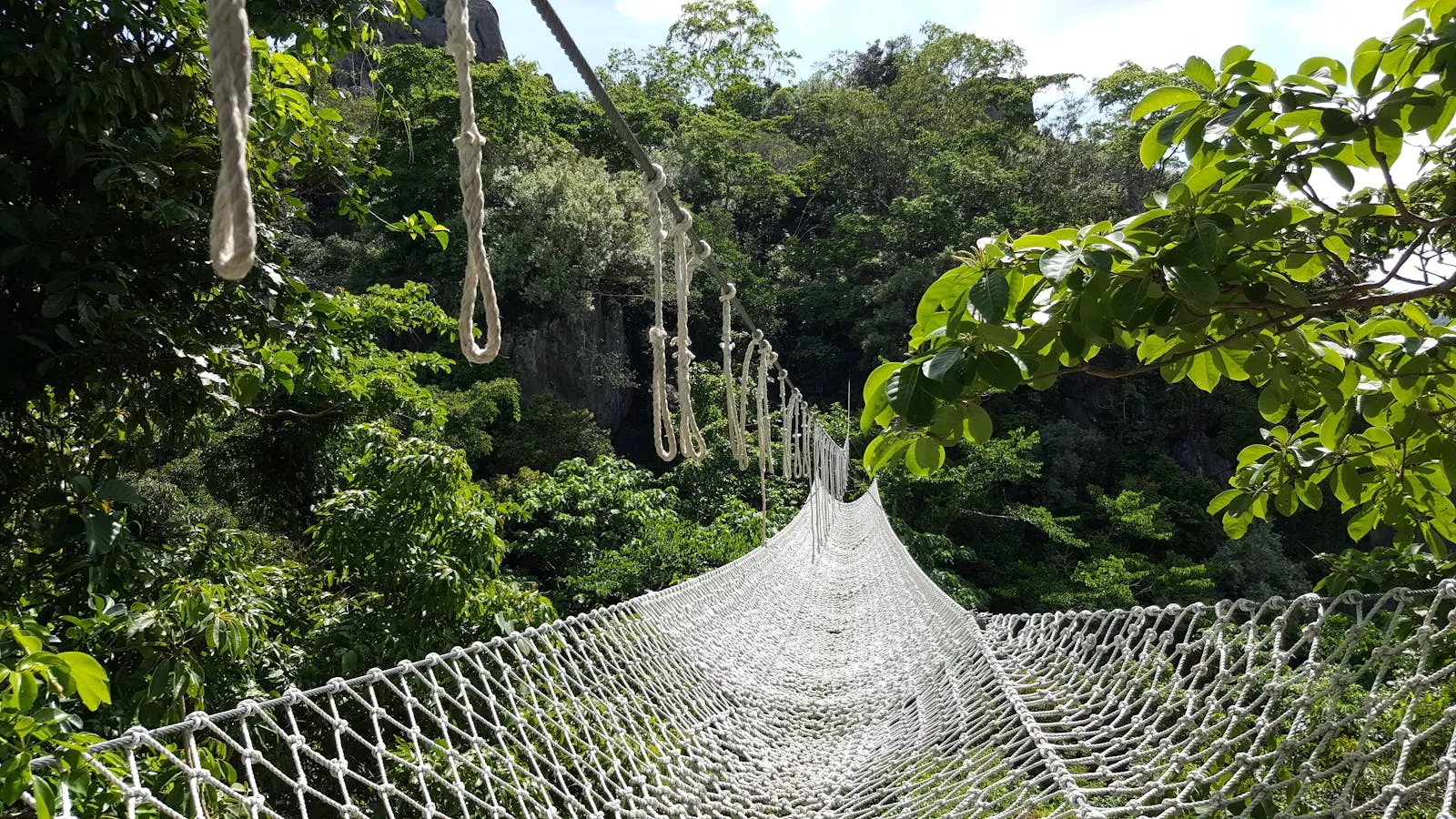 Hiker crossing a suspension bridge in the Tsingy de Bemaraha