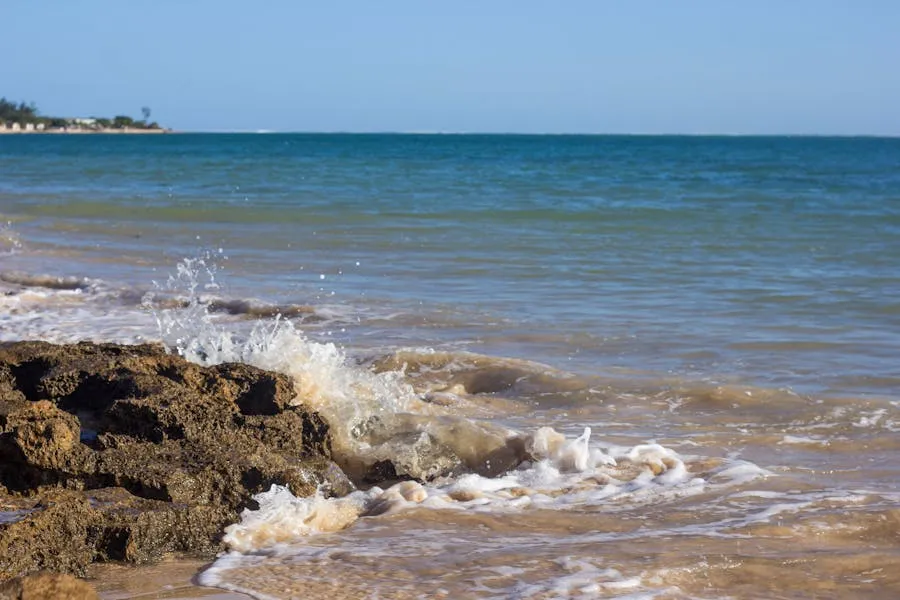 Dramatic coastline near Fort Dauphin with rocky headlands