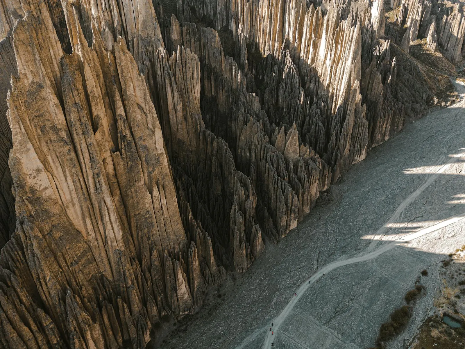 Limestone pinnacles of Tsingy de Bemaraha viewed from above