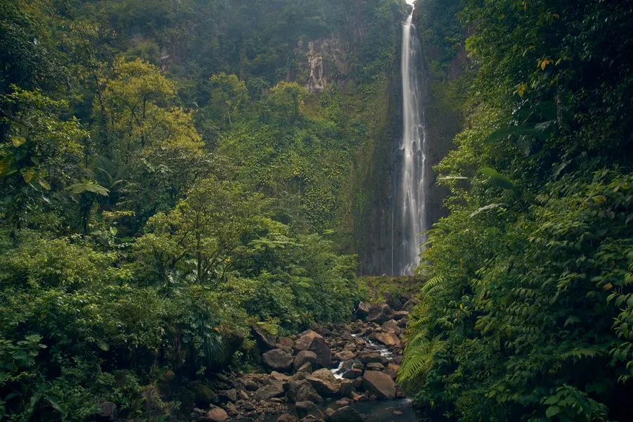 Waterfall in the lush montane rainforest of Montagne d'Ambre